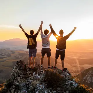 鸡鸭成语大全及解释