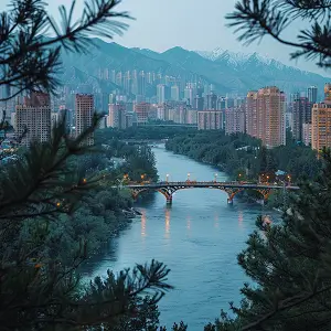 太阳式词语解释大全