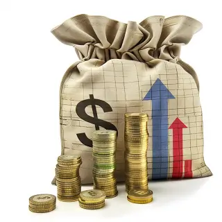 如实陈述成语大全及解释