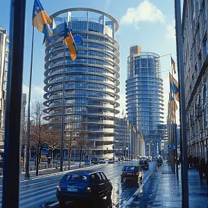 谐音和解释词语大全